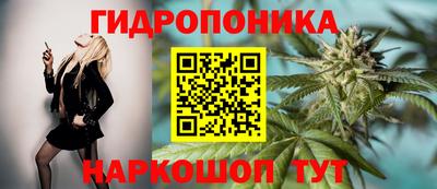 герыч Камышлов