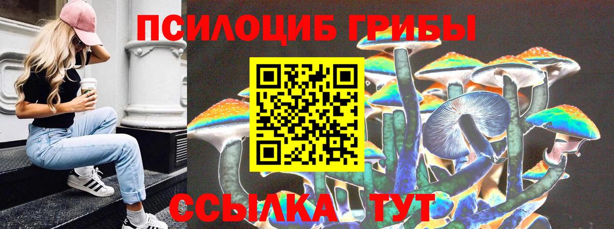 где купить наркотик  Псилоцибиновые грибы ЛСД  Вход с VPN  Спасск-Дальний 